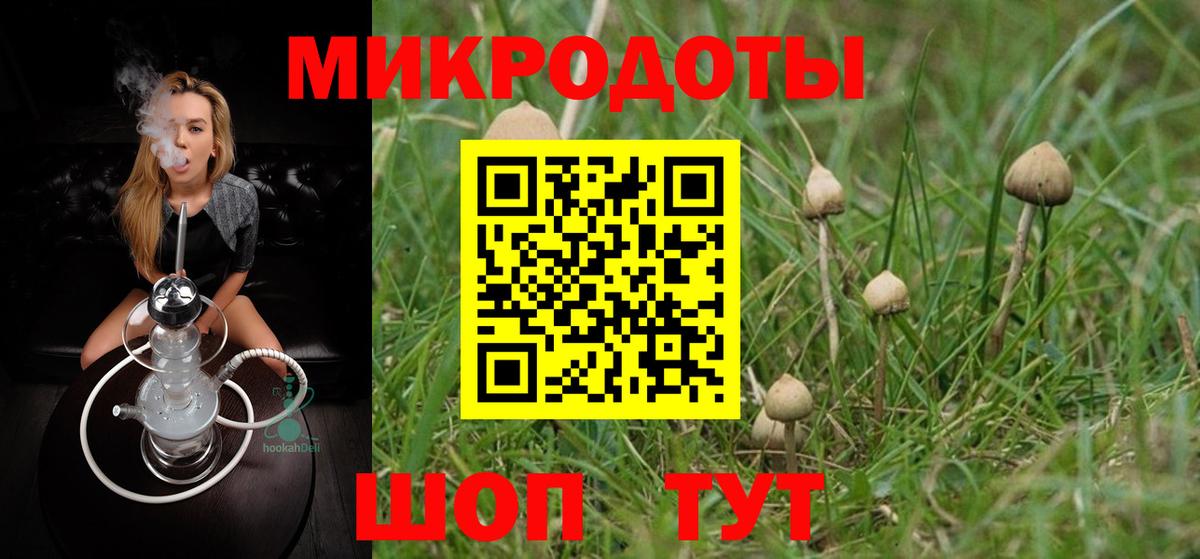 Псилоцибиновые грибы Psilocybe  Вход с VPN  Рассказово 